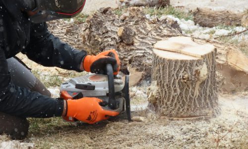 jason-bardales-Whc7yVd45wA-unsplash