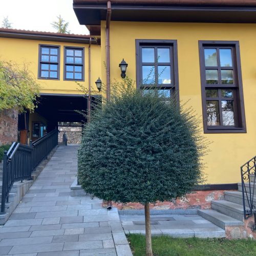 pexels-zeynep-celenay-koylu-2147513456-31432231