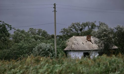 tengyart-ZtrIMi9oHsk-unsplash